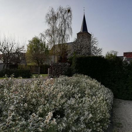 B&B 'T Huys Van Enaeme Oudenaarde Kültér fotó