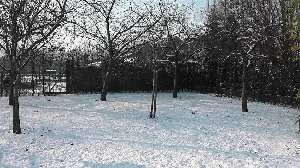B&B 'T Huys Van Enaeme Oudenaarde Kültér fotó